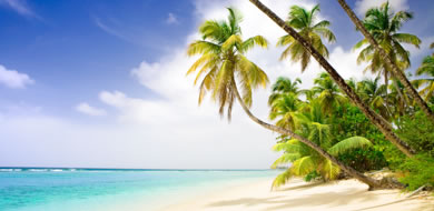 thumb_-caribbean-and-mexico_main banner image